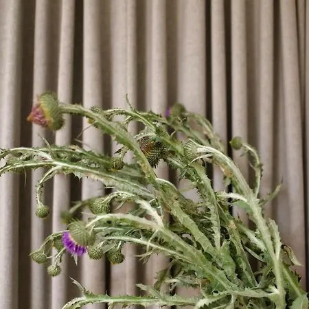 Natura Mierzei 30 - Pokoje Z Widokiem Na Baltyk