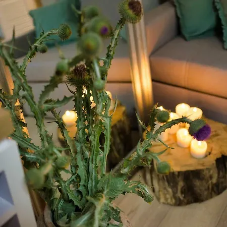 Natura Mierzei 30 - Pokoje Z Widokiem Na Baltyk 库瑞尼卡慕斯卡