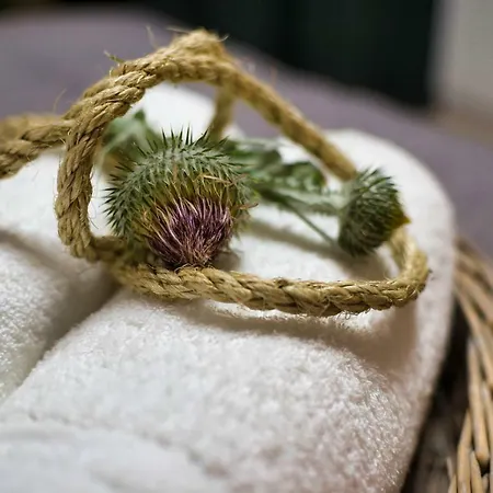 住宿加早餐酒店 Natura Mierzei 30 - Pokoje Z Widokiem Na Baltyk *