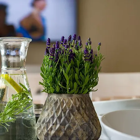 Natura Mierzei 30 - Pokoje Z Widokiem Na Baltyk 住宿加早餐酒店 库瑞尼卡慕斯卡