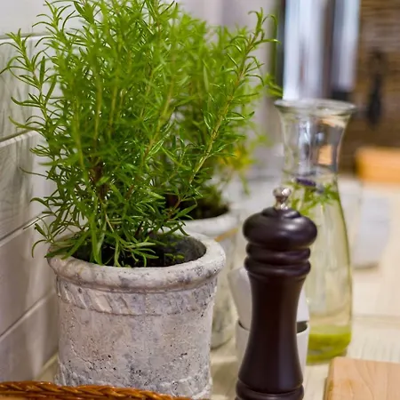 Natura Mierzei 30 - Pokoje Z Widokiem Na Baltyk * 库瑞尼卡慕斯卡