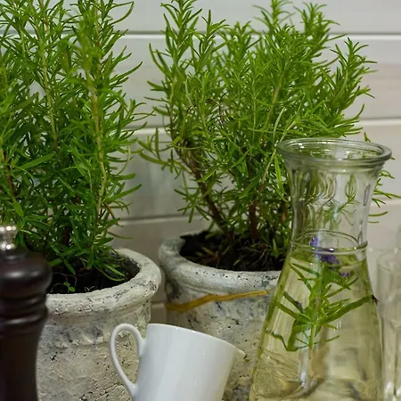 Natura Mierzei 30 - Pokoje Z Widokiem Na Baltyk 库瑞尼卡慕斯卡