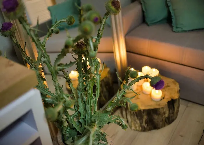 Natura Mierzei 30 - Pokoje Z Widokiem Na Bałtyk Krynica Morska