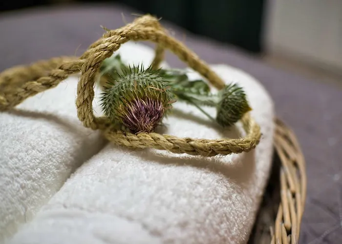 Nocleg ze śniadaniem Natura Mierzei 30 - Pokoje Z Widokiem Na Bałtyk *