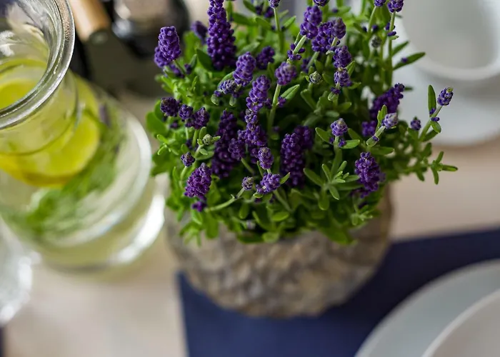 Natura Mierzei 30 - Pokoje Z Widokiem Na Bałtyk